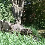 't Koetshuys 別荘 Heenvliet