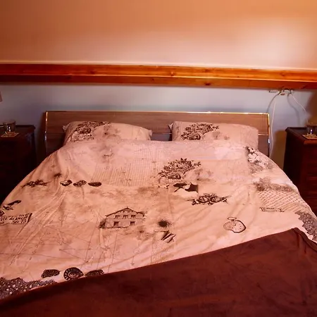 't Koetshuys Holiday home