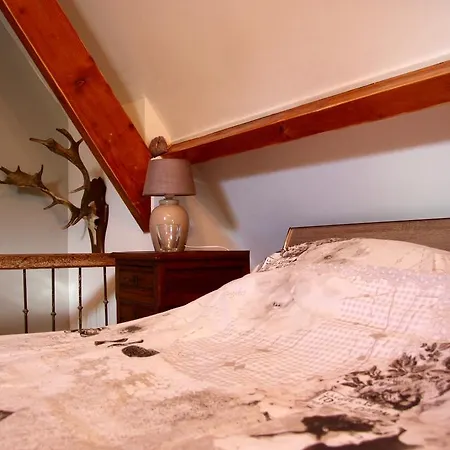 Ferienhaus 't Koetshuys Heenvliet