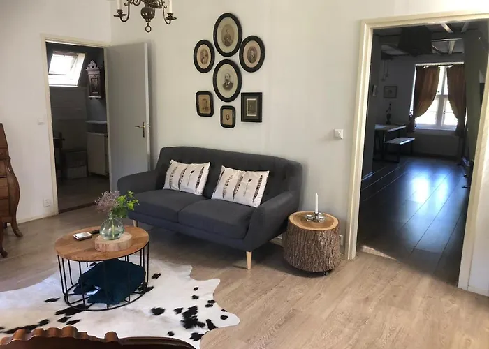 't Koetshuys Holiday home Heenvliet