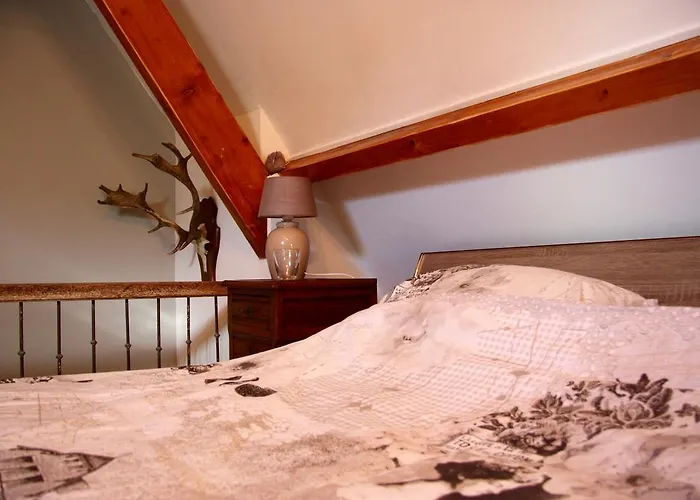 Vakantiehuis 't Koetshuys Heenvliet